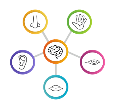 Sensory Evaluation Techniques – Consumer Insight Consulting