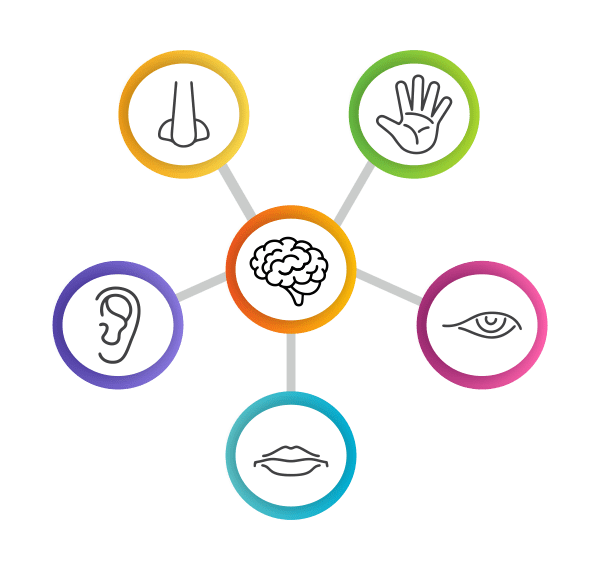 Sensory Training & Workshop & Tests – Consumer Insight Consulting