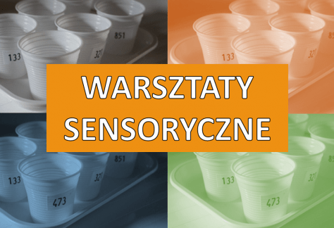 Warsztaty sensoryczne