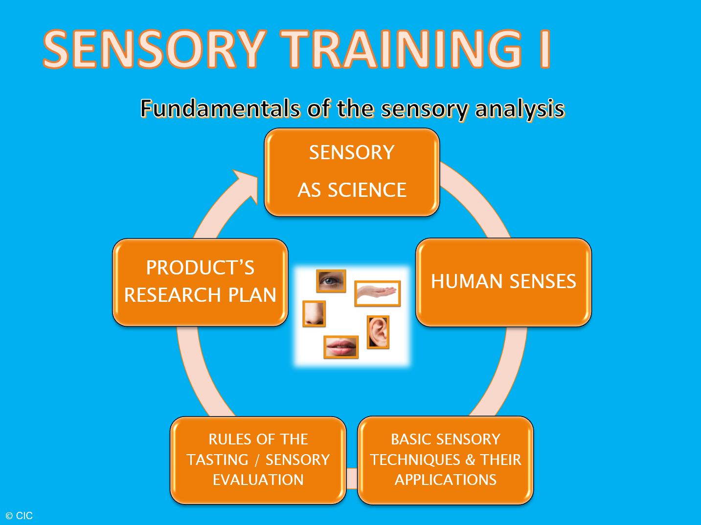 Sensory Training I