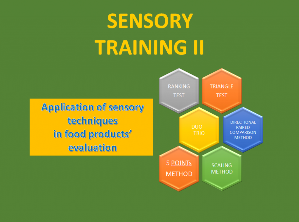 Sensory Training II