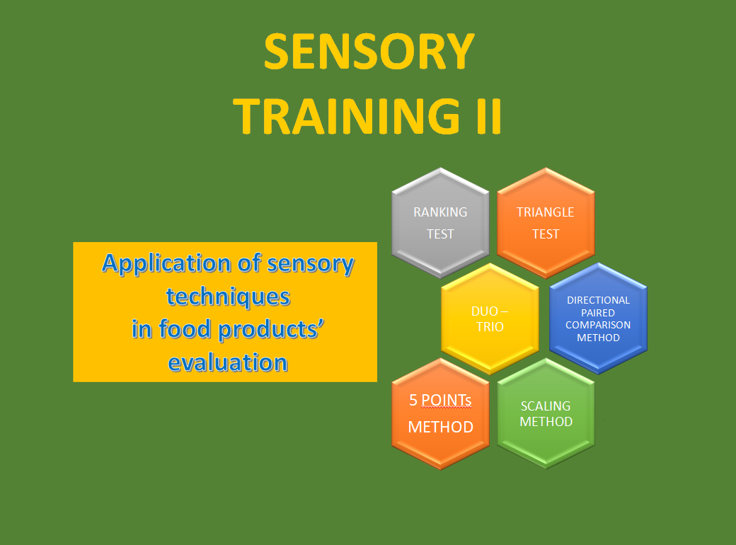 Sensory Training & Workshop & Tests – Consumer Insight Consulting